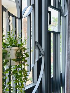 Doha Homes Studio 345 Trần Hưng Đạo,Central D1 HCM