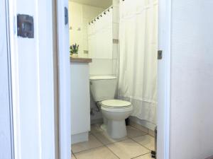 Viña Center Apartment Rodoviario Quinta Vergara