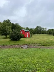 Colorful Studio Cottage with Beautiful Landscape and Hiking Trails in New York - Maplecrest