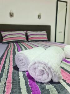 Vila Aleksandra 2 studio 4