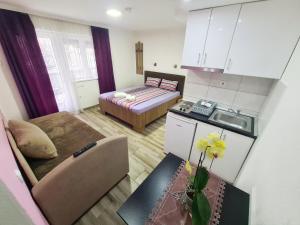 Vila Aleksandra 2 studio 4