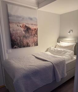 Bollnäs bed and breakfast