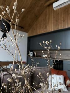 Stodoły Trzy Żywioły