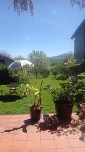 B&B / Chambres d'hotes Chez Olive et Garance : photos des chambres