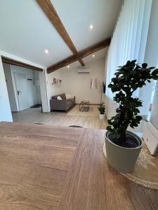 Appartements Le ST PIERRE, joli T2 entierement renove en plein coeur du centre ville : photos des chambres