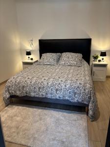 Appartements Le ST PIERRE, joli T2 entierement renove en plein coeur du centre ville : photos des chambres
