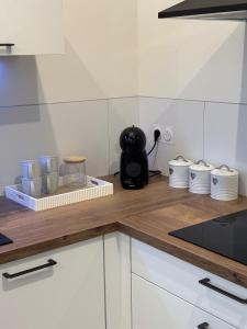 Appartements Le ST PIERRE, joli T2 entierement renove en plein coeur du centre ville : photos des chambres