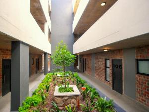 Palm Breeze - Mossel Cove