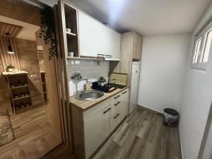 Entire Place In Zemun