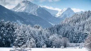 Chalet La Renardière - Chambon-sur-Lac