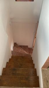 Nid douillet sous les toits