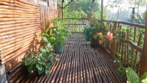 Pondok Kebun Belitung