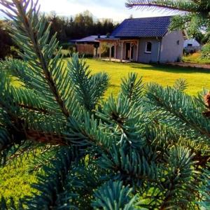 Żurawisko - Domki wśród natury