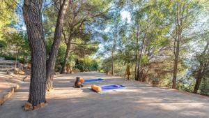 Casa Surrender Cómpeta by Ruralidays