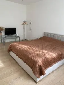 Near city center flat - Praga