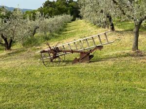 Agriturismo Colle Bello