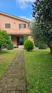 Tiber Domus Trevignano - ترفيجنانو رومانو