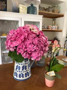 Maisons de vacances Beautiful Cottage : photos des chambres