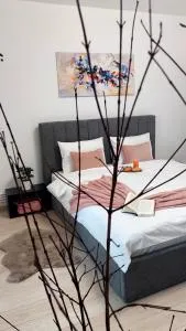 B&A Apartments - 乔阿久拜