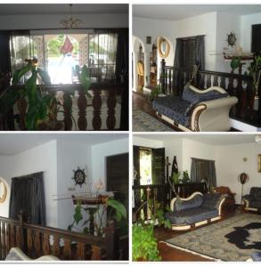 MSE resort shelly beach