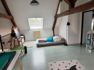 Maisons de vacances Large house with pool, spa and park : photos des chambres