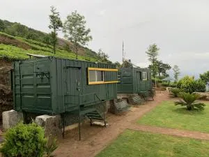 Wild woods - Pollāchi