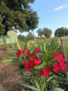 Agriturismo Bio Terre di Naioli