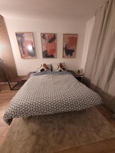 Appartements Appart avec jardin proche mer : photos des chambres