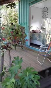 Container na mata atlântica