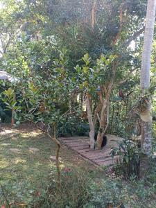 Casa Container na mata atlântica