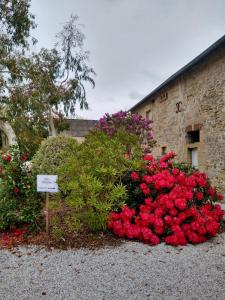 Maisons de vacances Maison 2 chambres avec espace exterieur prive et petit-dejeuner en supplement - fait-maison et produits locaux : photos des chambres