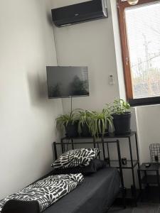 INDUSTRIAL ZONE-STUDIO 3 