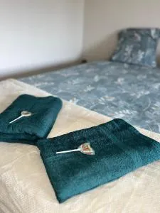 Évasion rêvée ! Proche gare et clim - Beaupuy