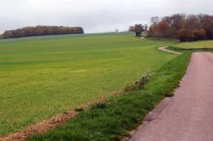 le repaire des amis 4-8pers - 特雷尼