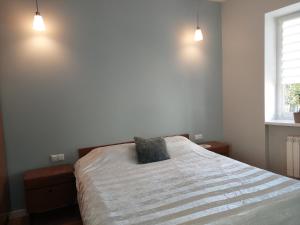 Студія поряд з замком Любарта