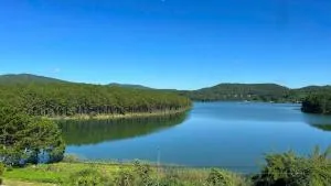 Villa Nghỉ Dưỡng Thông - Ấp Ðinh An (1)