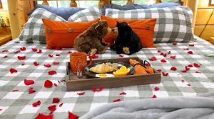 Enchanted Romance - Private, Heart Shaped Tub, Hot tub, Fireplace, & Arcade!