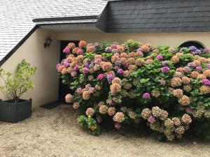 Maison face à la mer