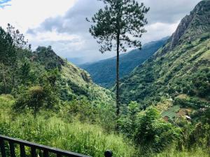 Belmount Ella