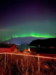 Apartment with sea view - Brevik