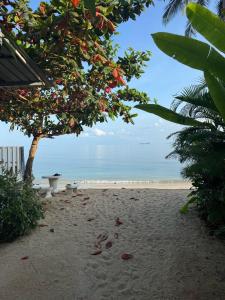 Dream Villa Beachfront Sunset