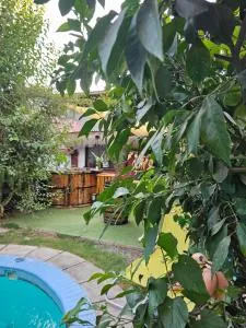 Tinaja La Araucaria- cabaña - Río Blanco