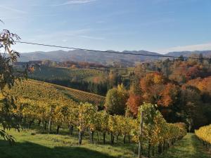 Ferienwohnungen Kumpitsch am Poharnigberg - Eorykogel