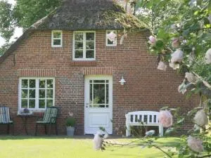 Thatchdachkate Sillenserwisch - Stollhammerdeich