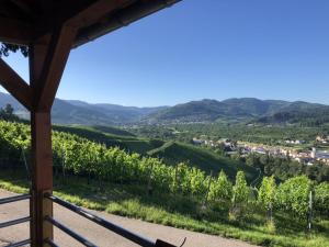 Azuria Black Forest Loft