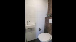 Enkhuizer Strand Chalet Leuke Plek Haus Nr 216