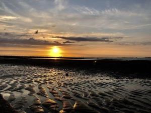 Breskens Laguna Chalet mit Zaun Haus Nr A04