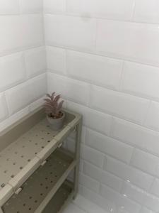 Colosseo luxury home