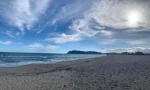 La casa dei Girasoli img46