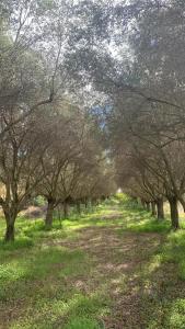 La casa dei Girasoli img49